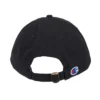 Split Script Dad Adjustable Cap